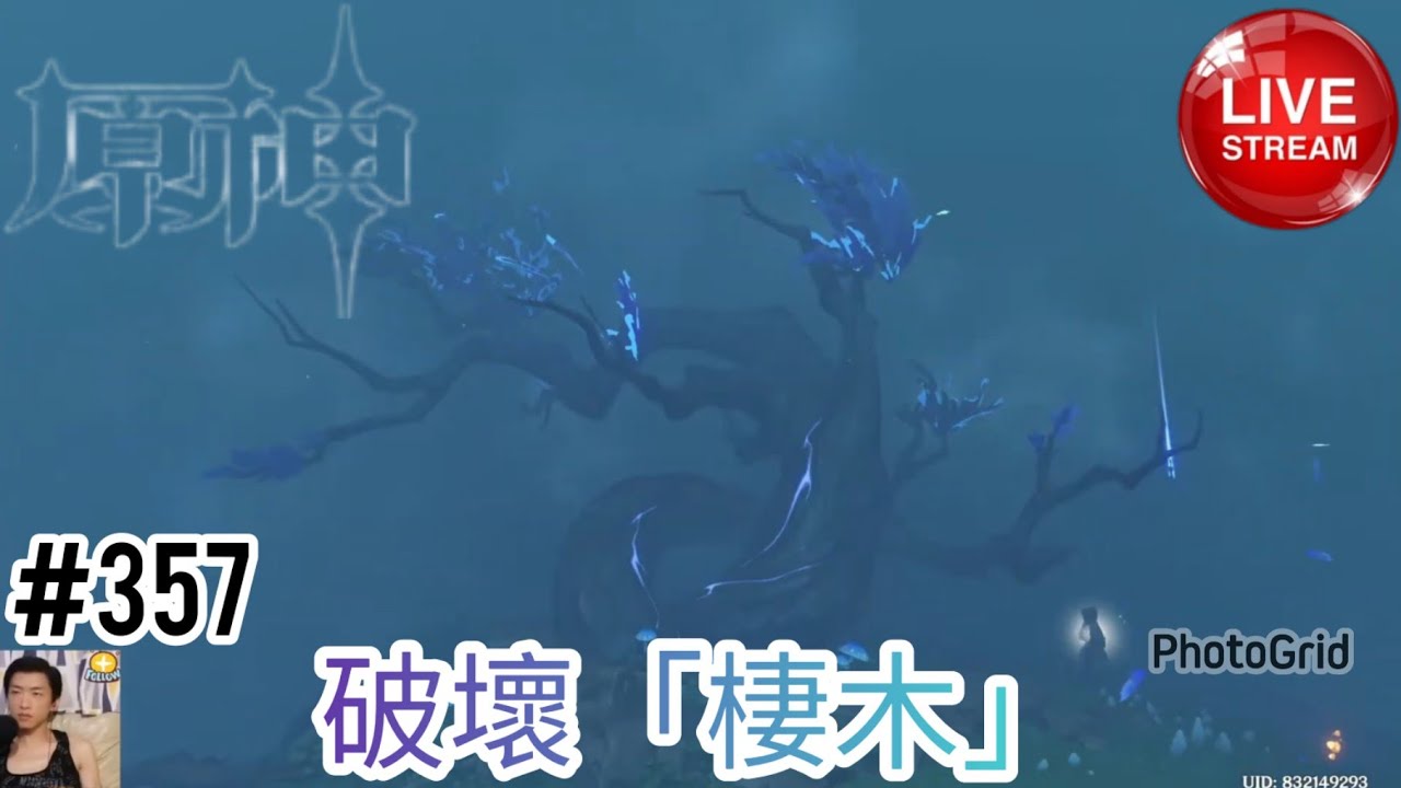 原神 #357 破壞「棲木」