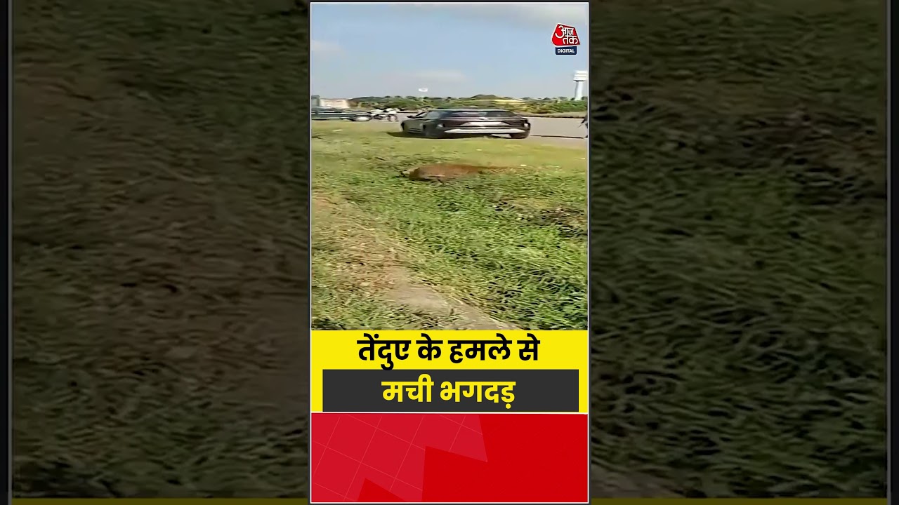 Shorts| तेंदुए के हमले से मची भगदड़ #viral #shorts #trending #atshorts
