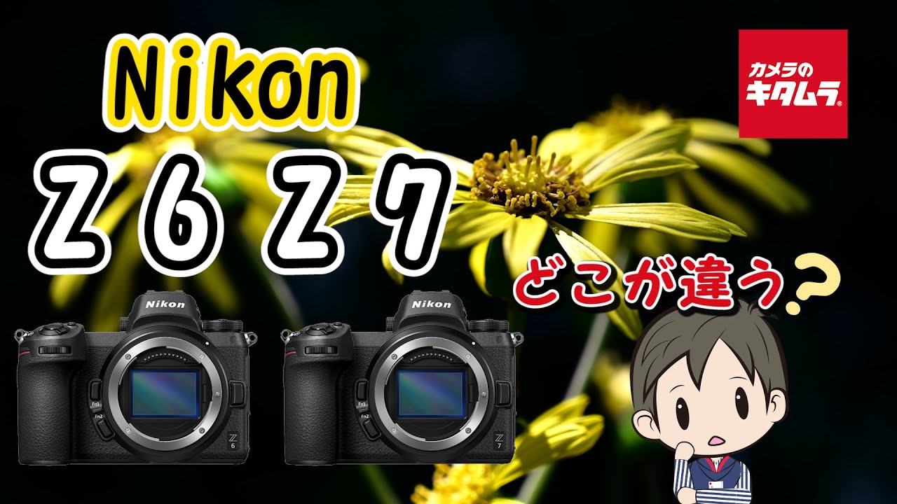 【カメラ比較】ニコンのミラーレスカメラ Z6とZ7の違いとは！？