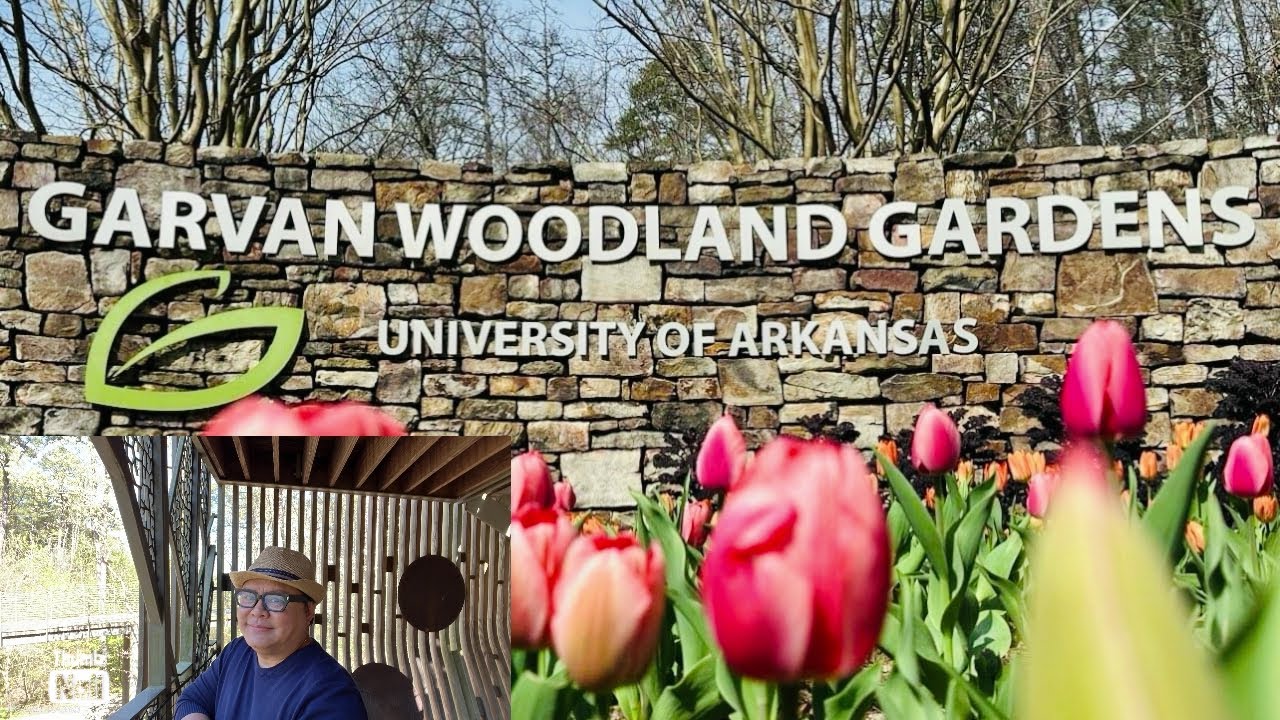 Walking Tour:Garvan Woodland Gardens Hotsprings Arkansas