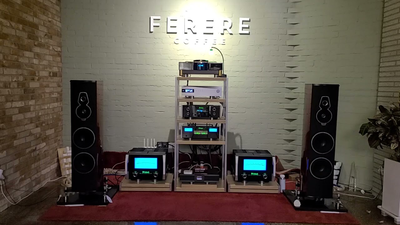 2026년 1월 27일 Steve Forbert~ I'm in Love with you ~