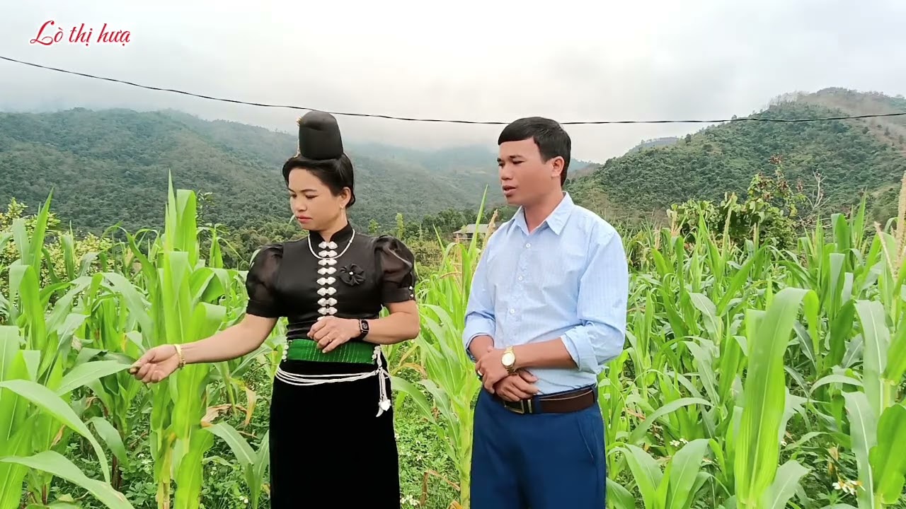 24 tháng 1, 2026