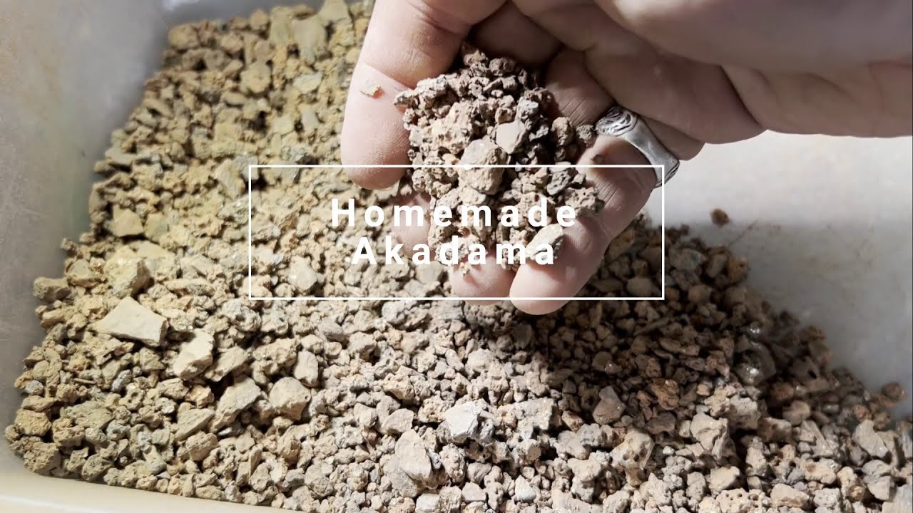 Homemade Akadama Substitute - Wild Clay