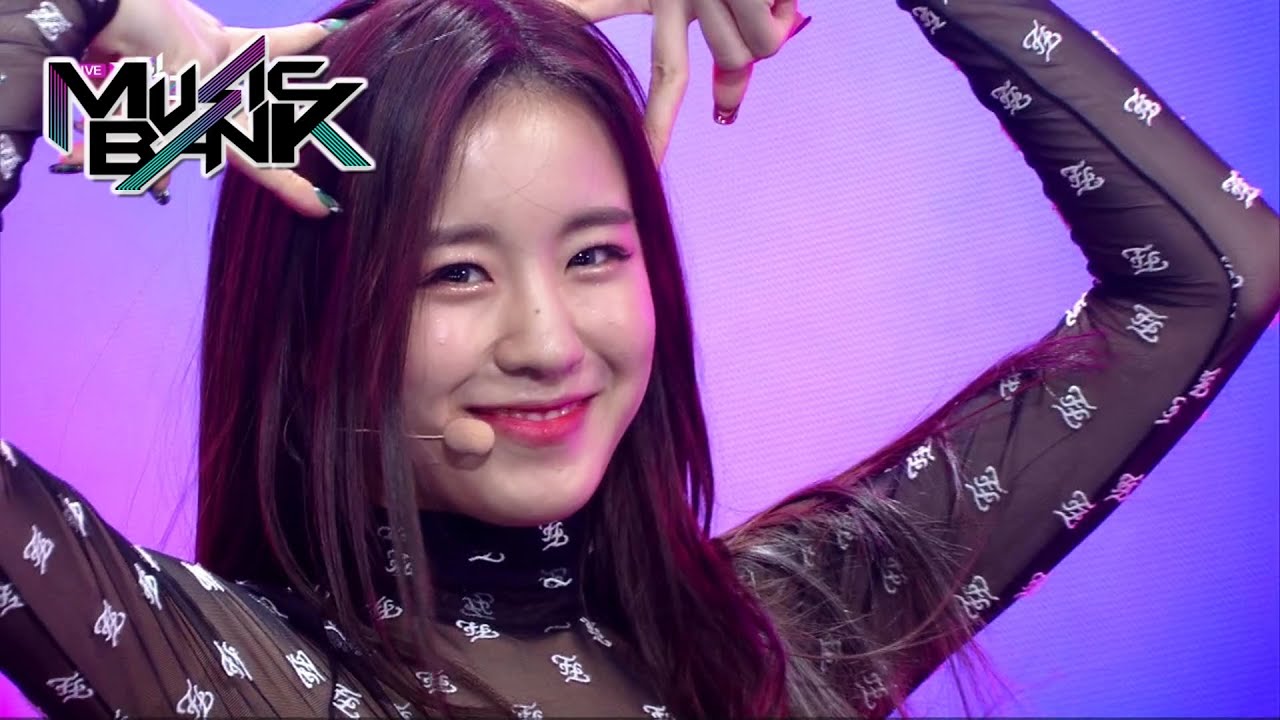 woo!ah!(우아!) - Bad Girl (Music Bank) | KBS WORLD TV 201204