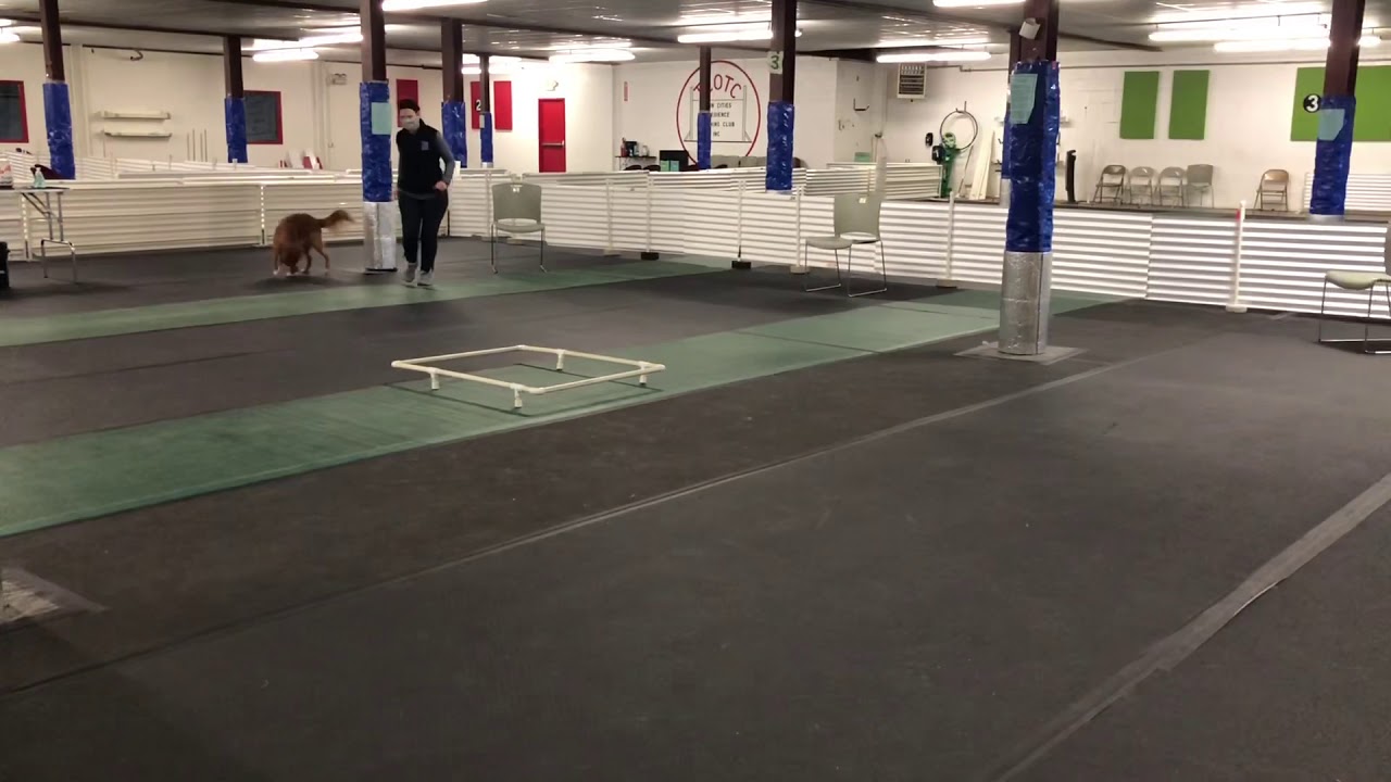 Aframe: Box work
