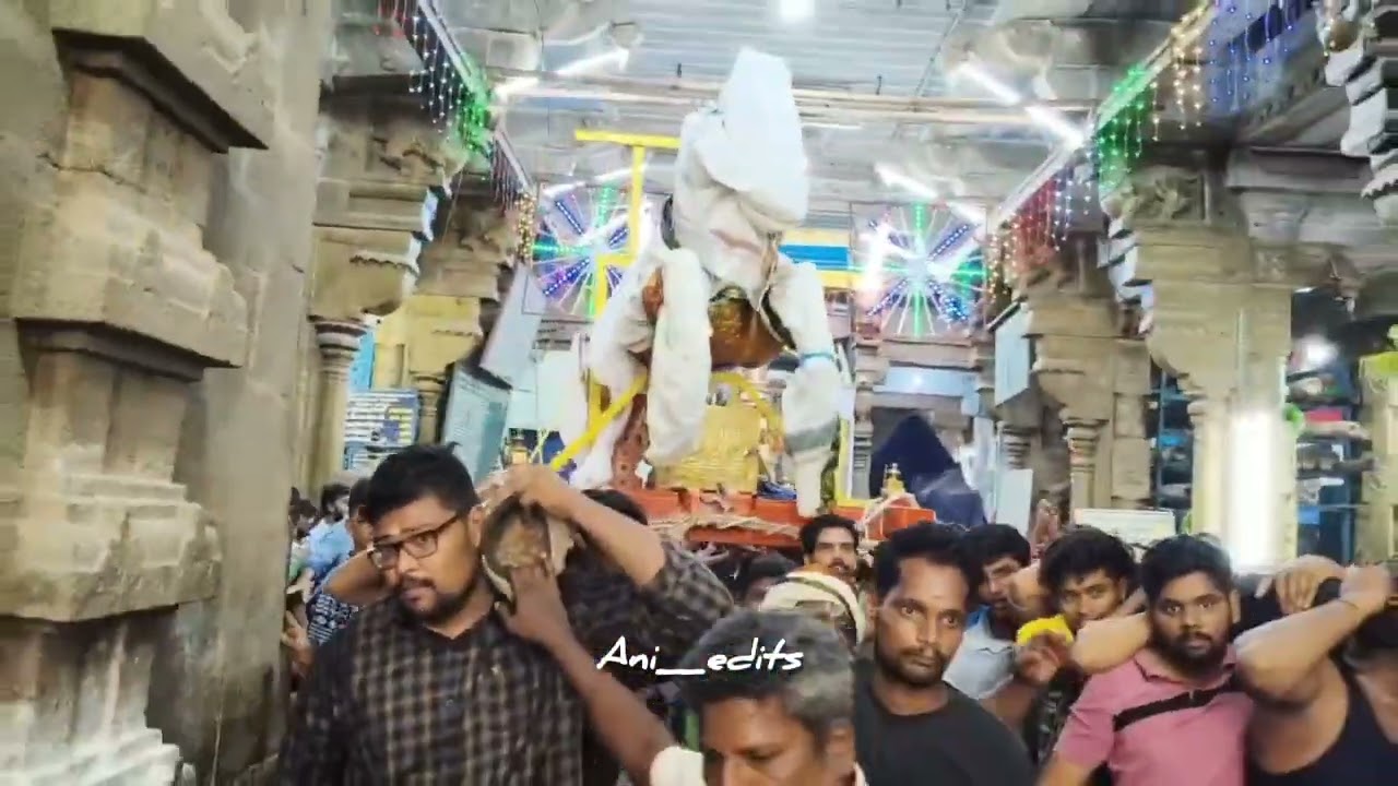 சித்திரை திருவிழா குதிரை வாகனம் புறப்பாடு.. 🤩😍✨🙏