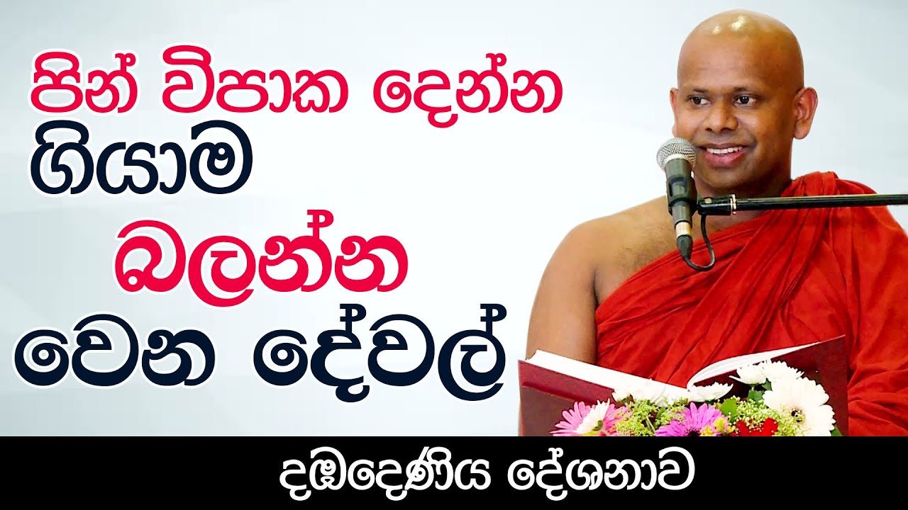 පින් විපාක දෙන්න ගියාම බලන්න වෙන දේවල්  |  Venerable Welimada Saddaseela Thero