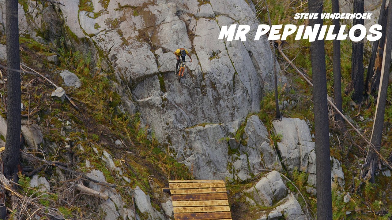 Mr Pepinillos - Steve Vanderhoek