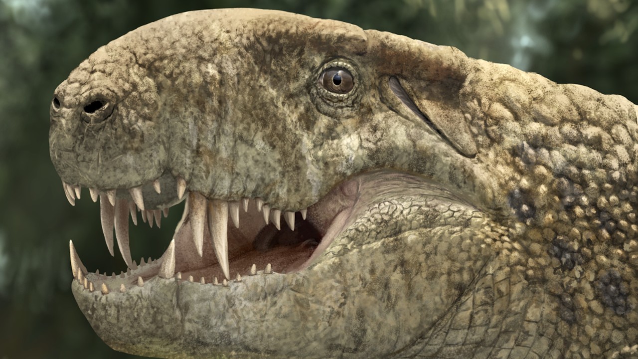 After Dinosaurs: What Was Earth Like in the Cenozoic Era?