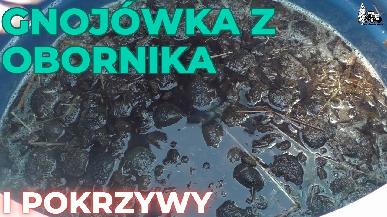 Gnojówka z obornika końskiego i pokrzywy - czemu to nie śmierdzi?