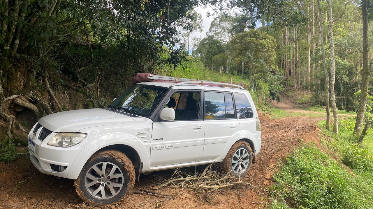 OLHA O QUE ACONTECEU DEPOIS DE TRÊS MESES SEM IR A CHÁCARA 