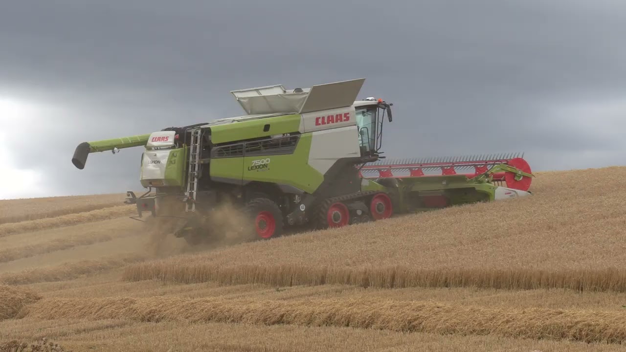 Lexion 7500 at Tomich Farm