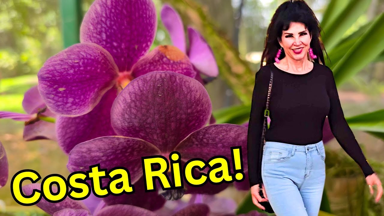 Коста-Рика за один день — детеныши ленивца, орхидеи и повозки с волами!