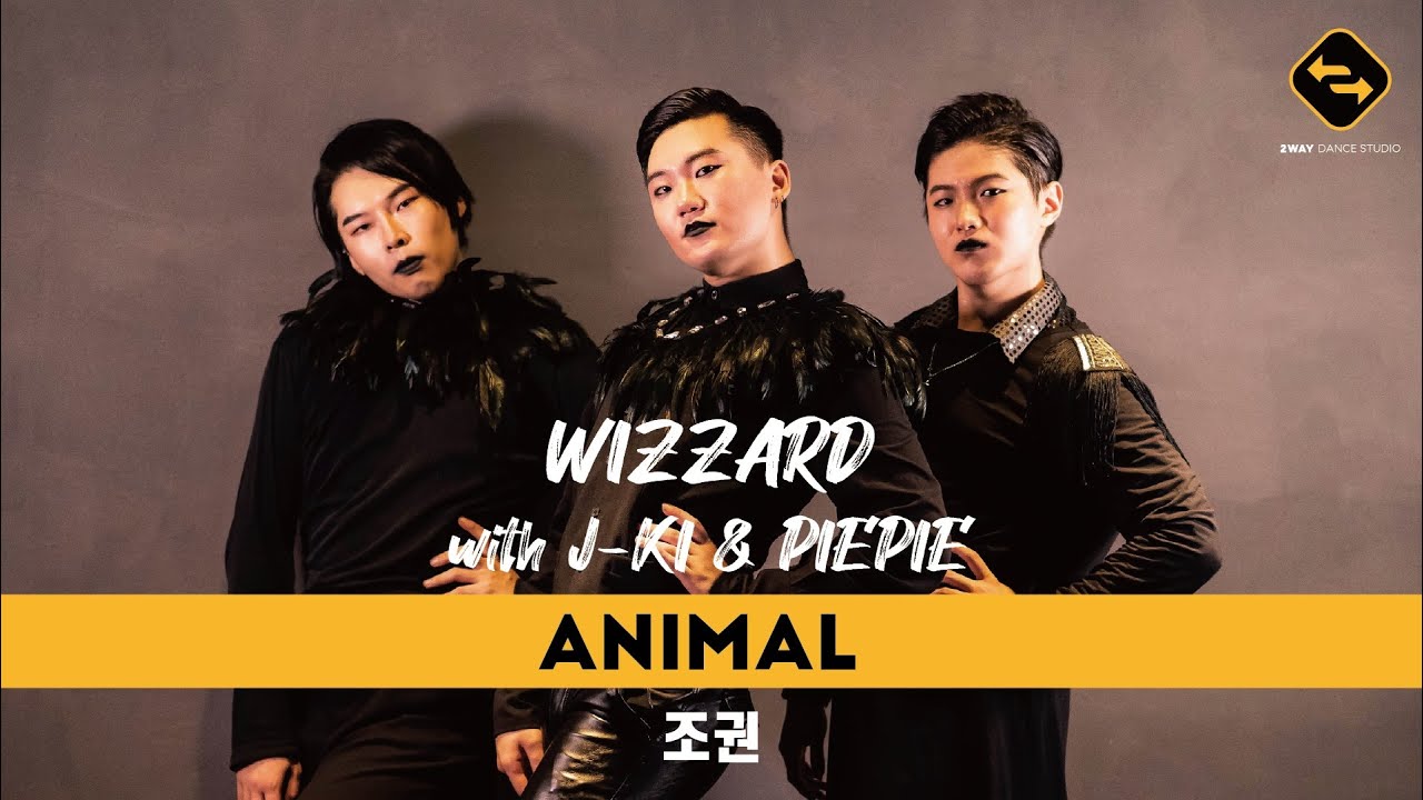 Animal - 조권 / Wizzard waacking Choreography / 2WAY DANCE STUDIO - Pop up class