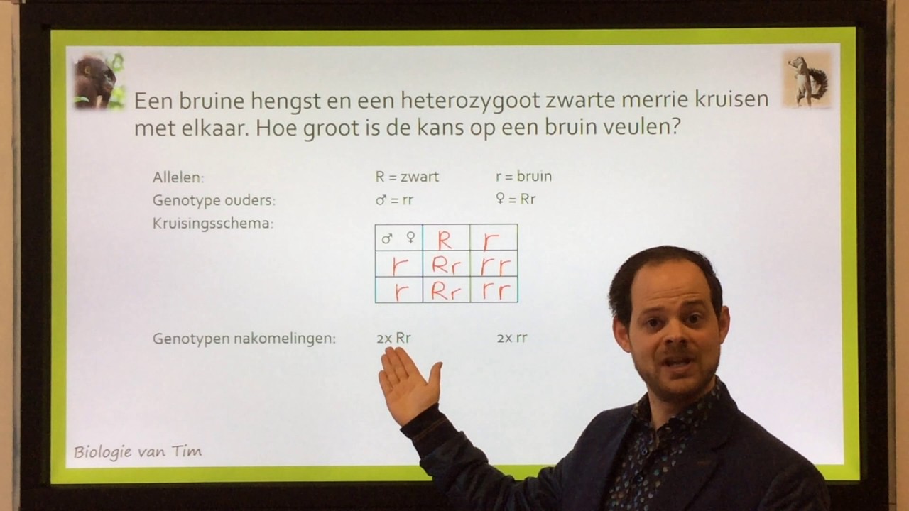 Biologie van Tim - Monohybride kruisingen