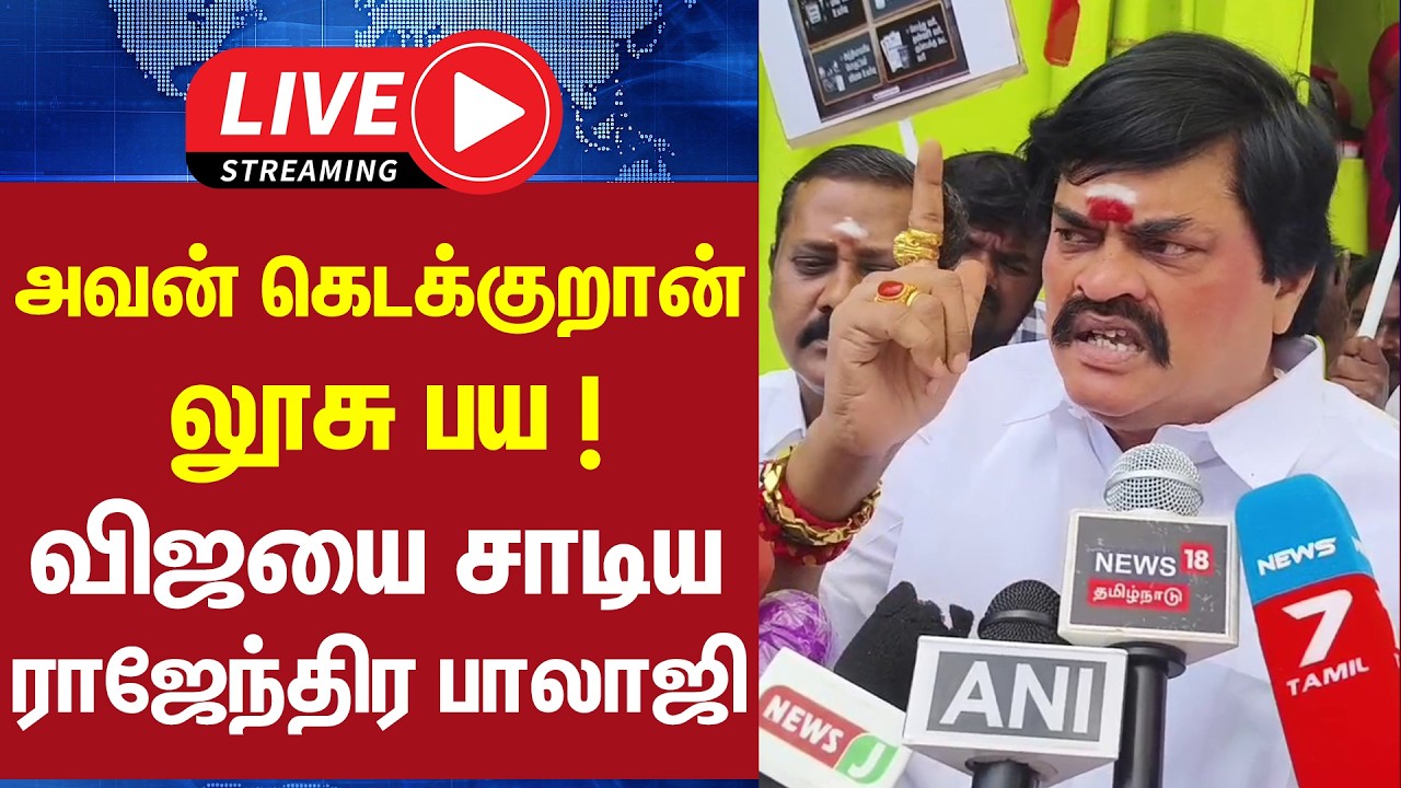 🔴LIVE : அவன் கெடக்குறான் லூசு பய ! விஜயை சாடிய ராஜேந்திர பாலாஜி | TVK VIJAY | Rajenthra Bhalaji