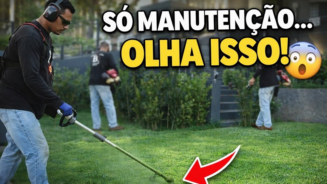 Jardinagem e paisagismo - manutenção de jardim 