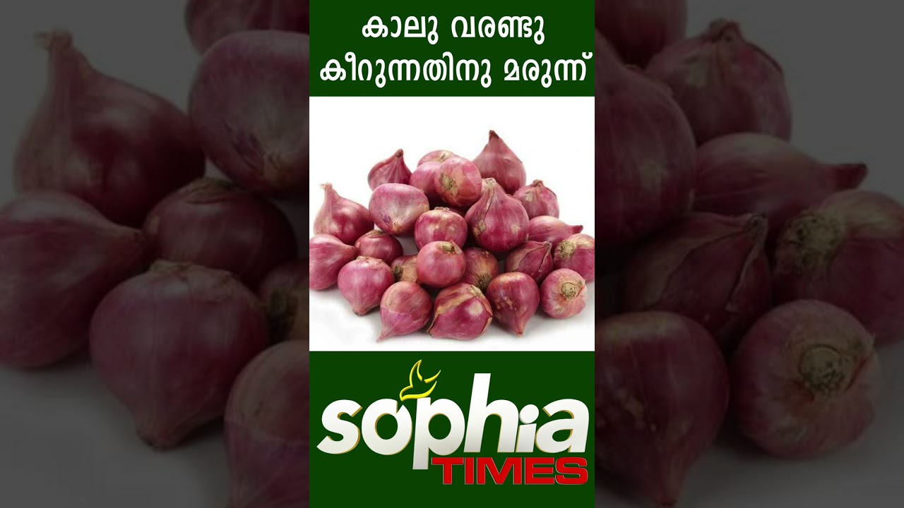 കാലു വരണ്ടു കീറുന്നതിനു മരുന്ന്  | Sophia Times | Sophia Times Online