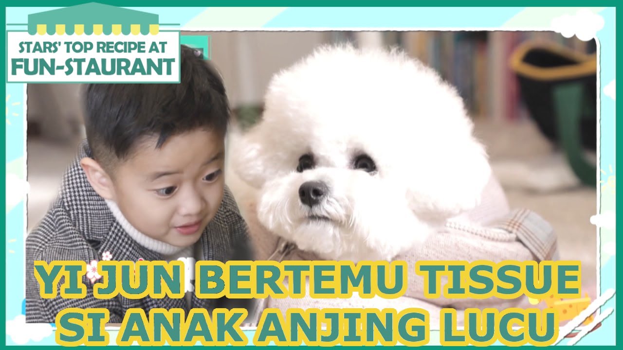 Yijun Bertemu Tissue Si Anak Anjing Lucu |Fun-Staurant|SUB INDO|200205 Siaran KBS World TV|