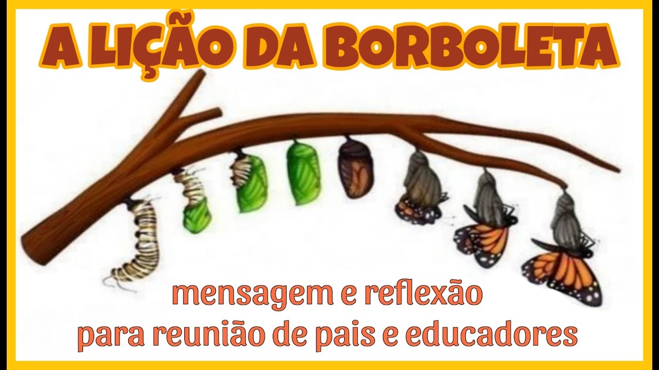 A LIÇÃO DA BORBOLETA | MENSAGEM E REFLEXÃO PARA REUNIÃO DE PAIS
