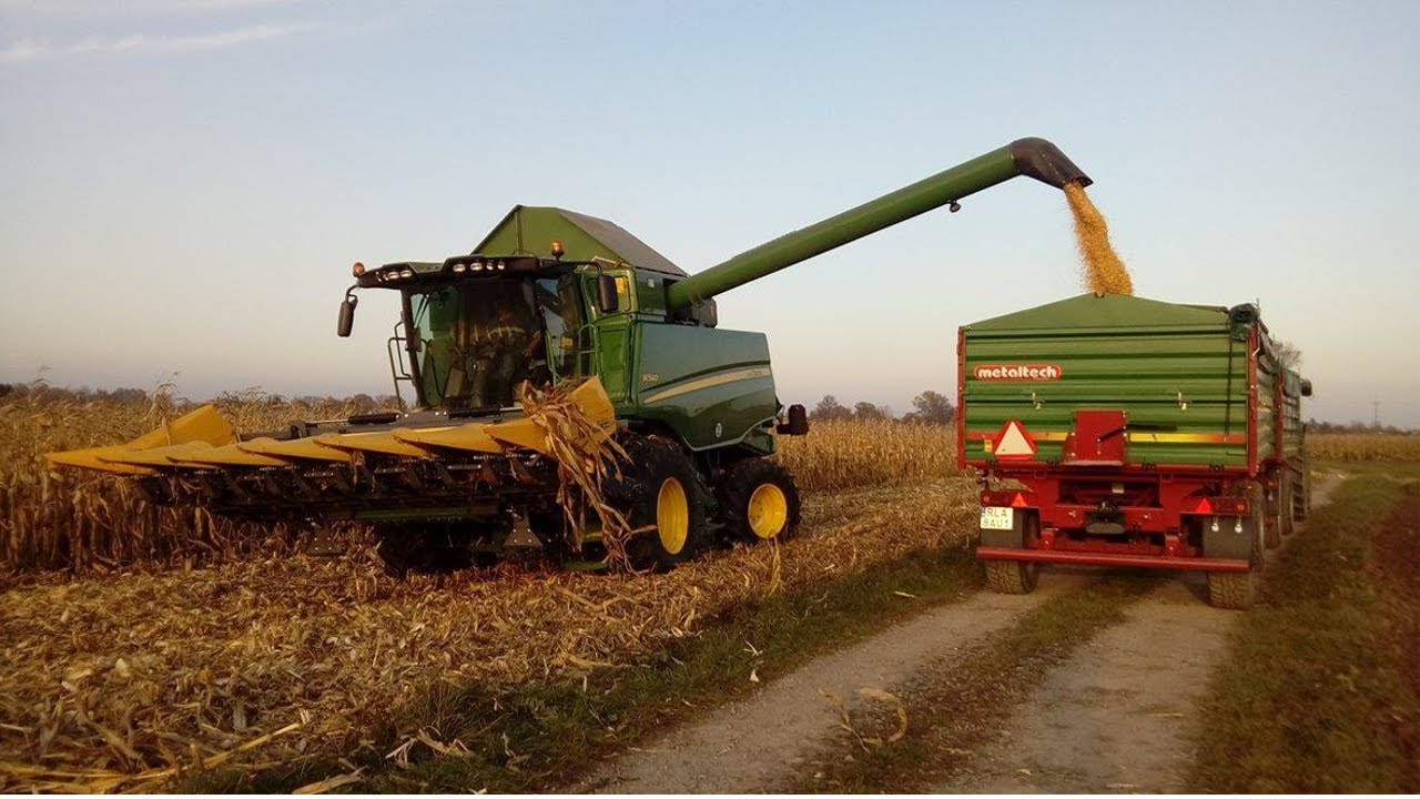 Koszenie kukurydzy na zairno 2017 |JOHN DEERE W540| Nowy nabytek|