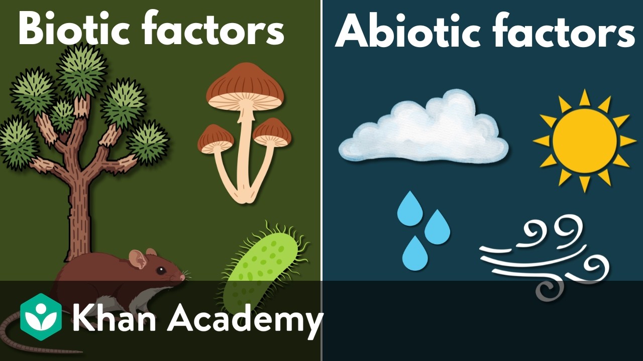 Biotic and abiotic factors | Middle school Earth and space science | Khan Academy