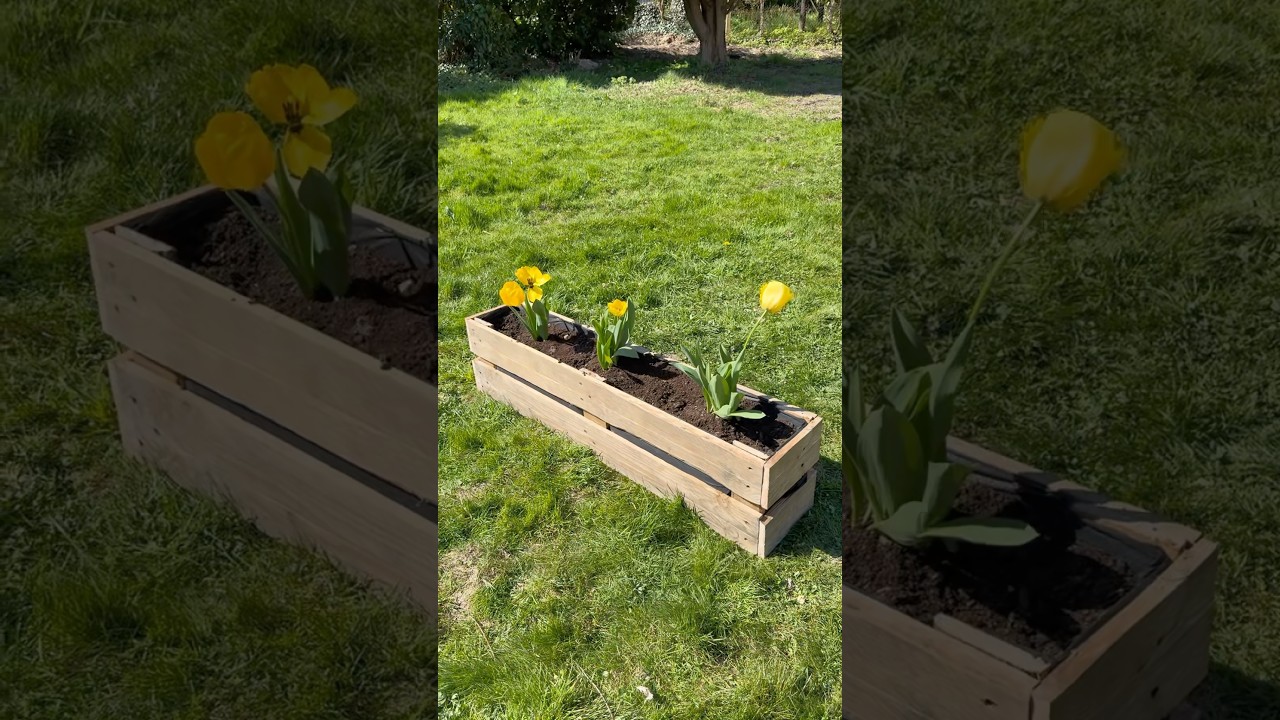 Jardinière en bois de palettes ✅ 1 palette = 1 jardinière. Idéale pour planter des salades