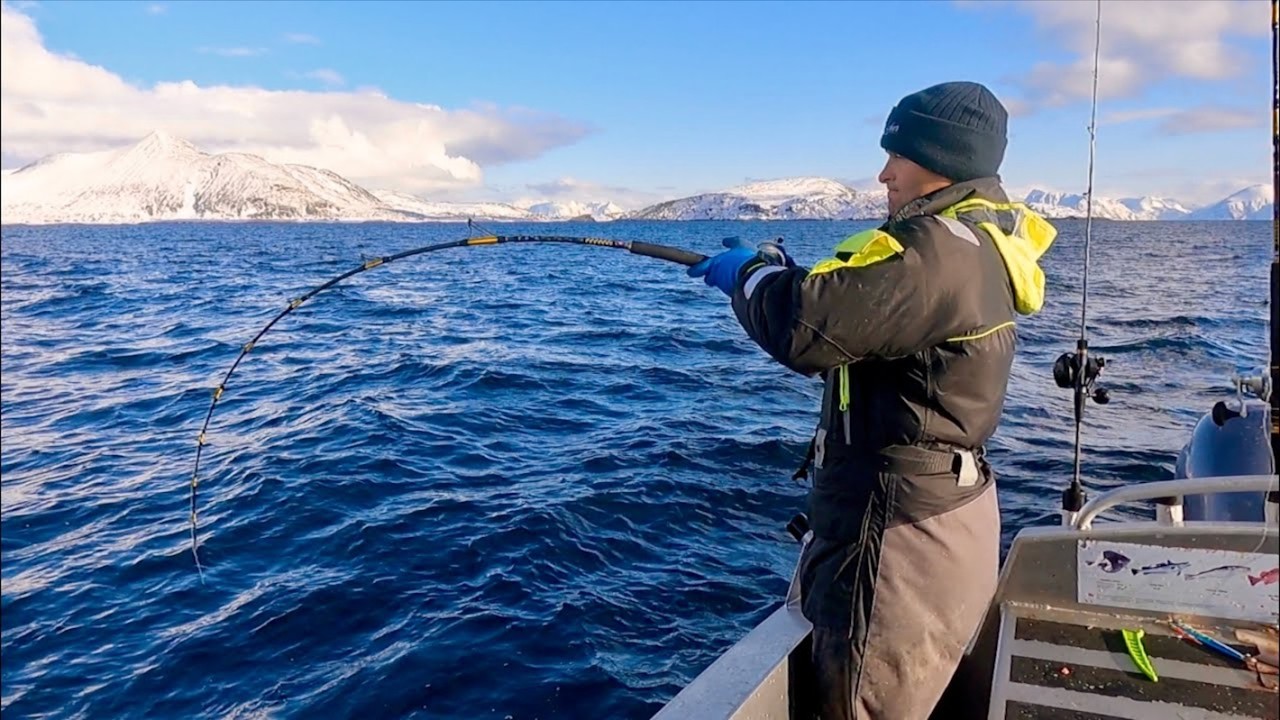 THE LAND OF MONSTERS!!! HUGE SKREI COD and HALIBUT!!! - Big Fish Adventure | The Fish Locker