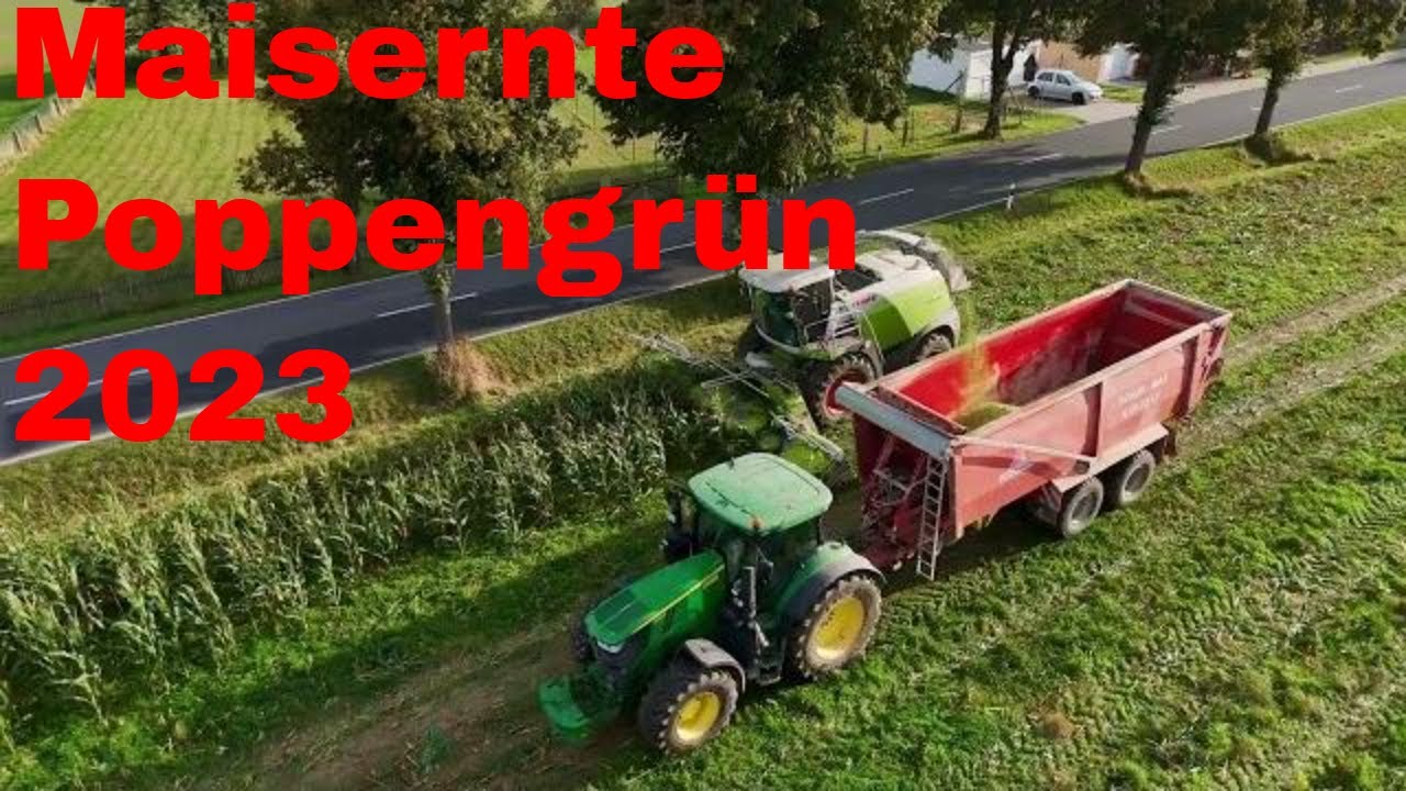Maisernte im Vogtland Poppengrün 2023