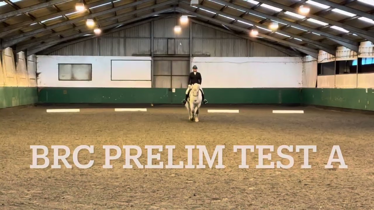 Elstead Riding Club - team dressage - Nov 16, Prelim Test A. 