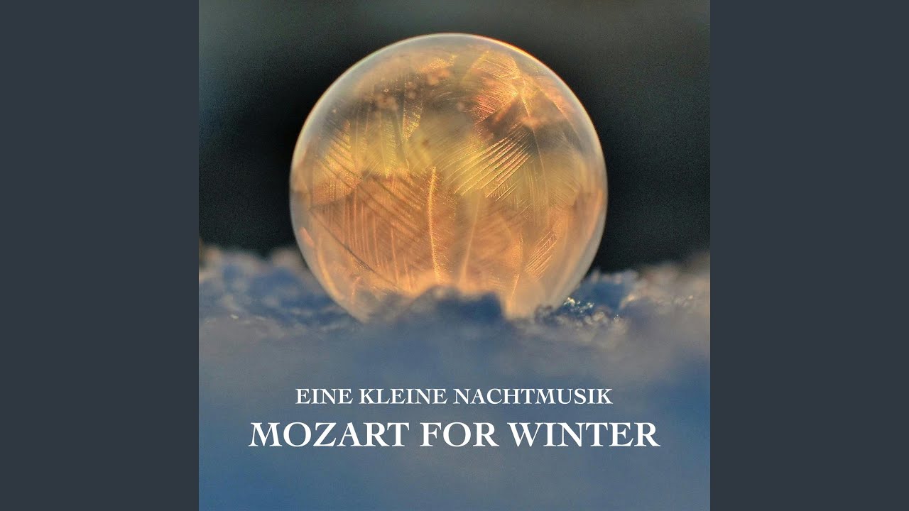 Symphony No. 25 in G Minor, K. 183: I. Allegro con brio