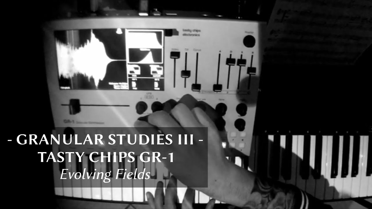 Granular Studies III - Tasty Chips GR-1 Evolving Fields