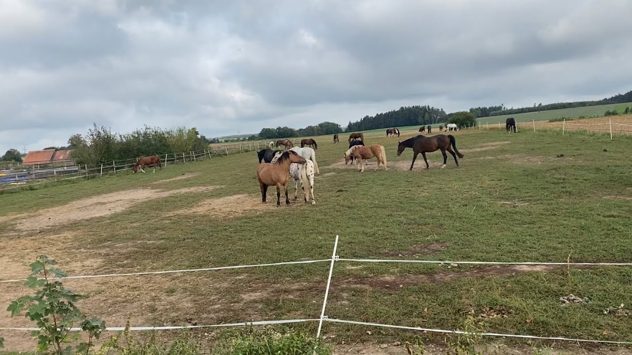Wochenende 29.09.-03.10.2023