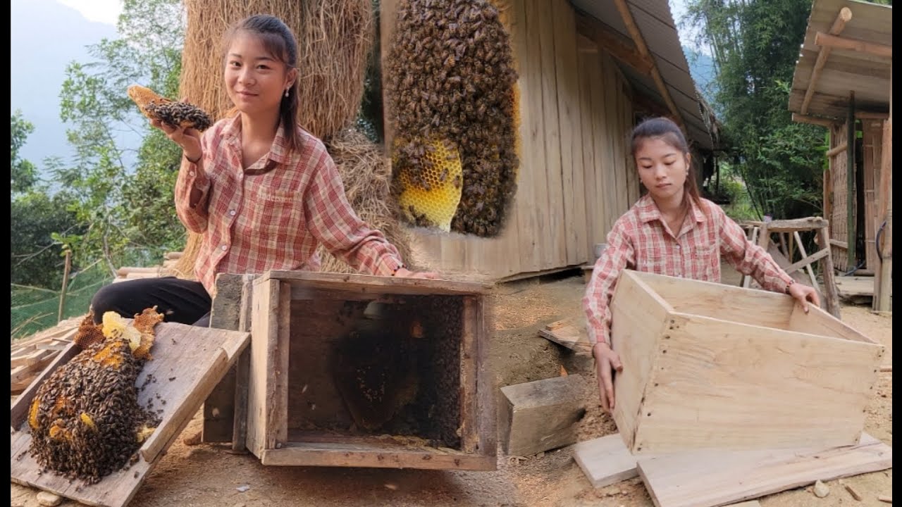 Process Building A New House For Bees - Protect Honey Bees - living with nature