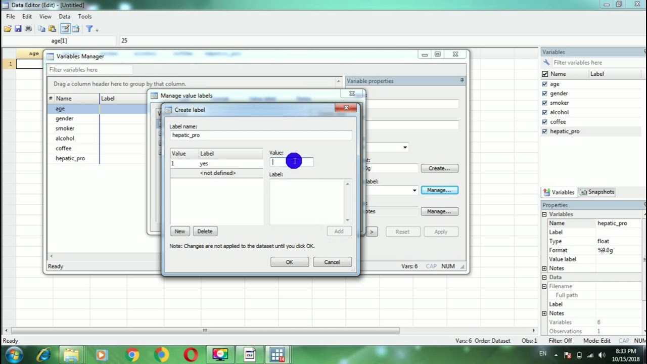 entering Data into Stata manually