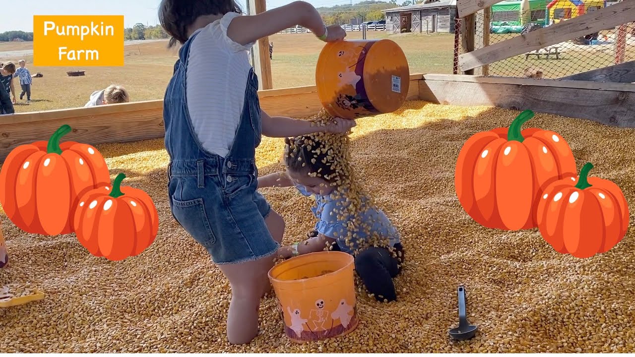 Fun Pumpkin Patch for Kids | Farm Playground  Fall Activities | Corn Pit | Hay Ride | October 2022