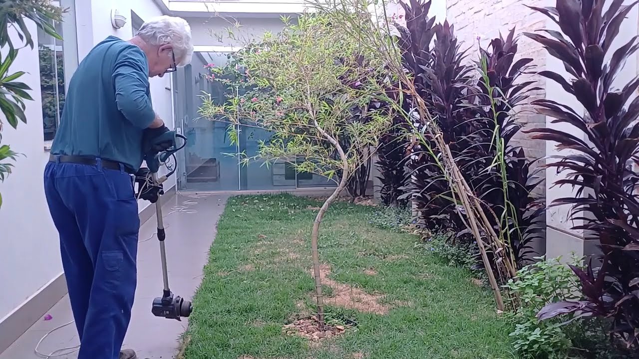 GRAMADO NOVO
