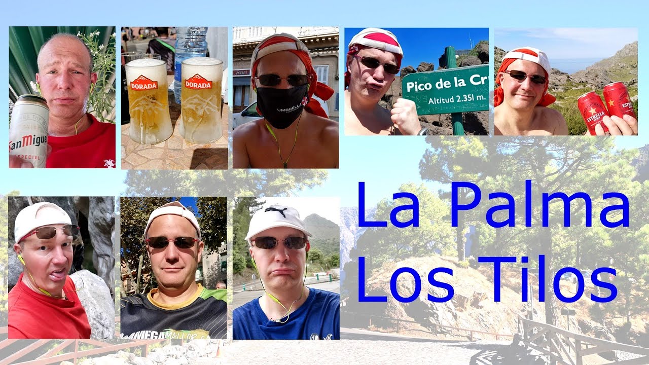 Wandern auf La Palma - Los Tilos zur Cordero Quelle und zurück