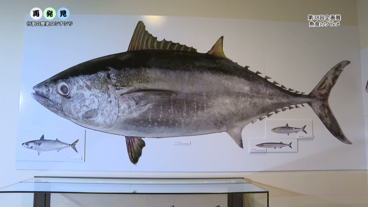 再発見 行田の歴史コンテンツ66　第38回企画展　魚食のグルメ