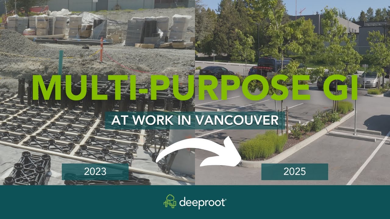 How This Vancouver School Went Green with Silva Cells