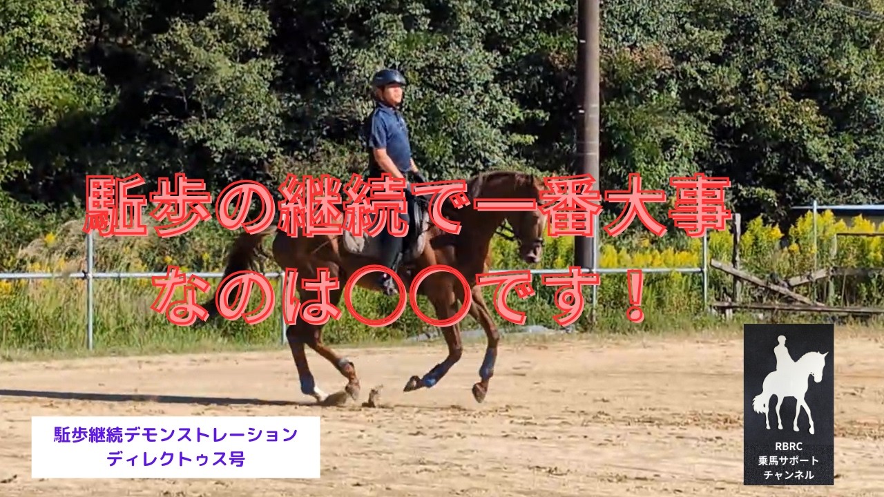 【乗馬・馬術】駈歩の継続が課題の方、○○大事にしてますか？デモで見てわかる駈歩の継続のヒント