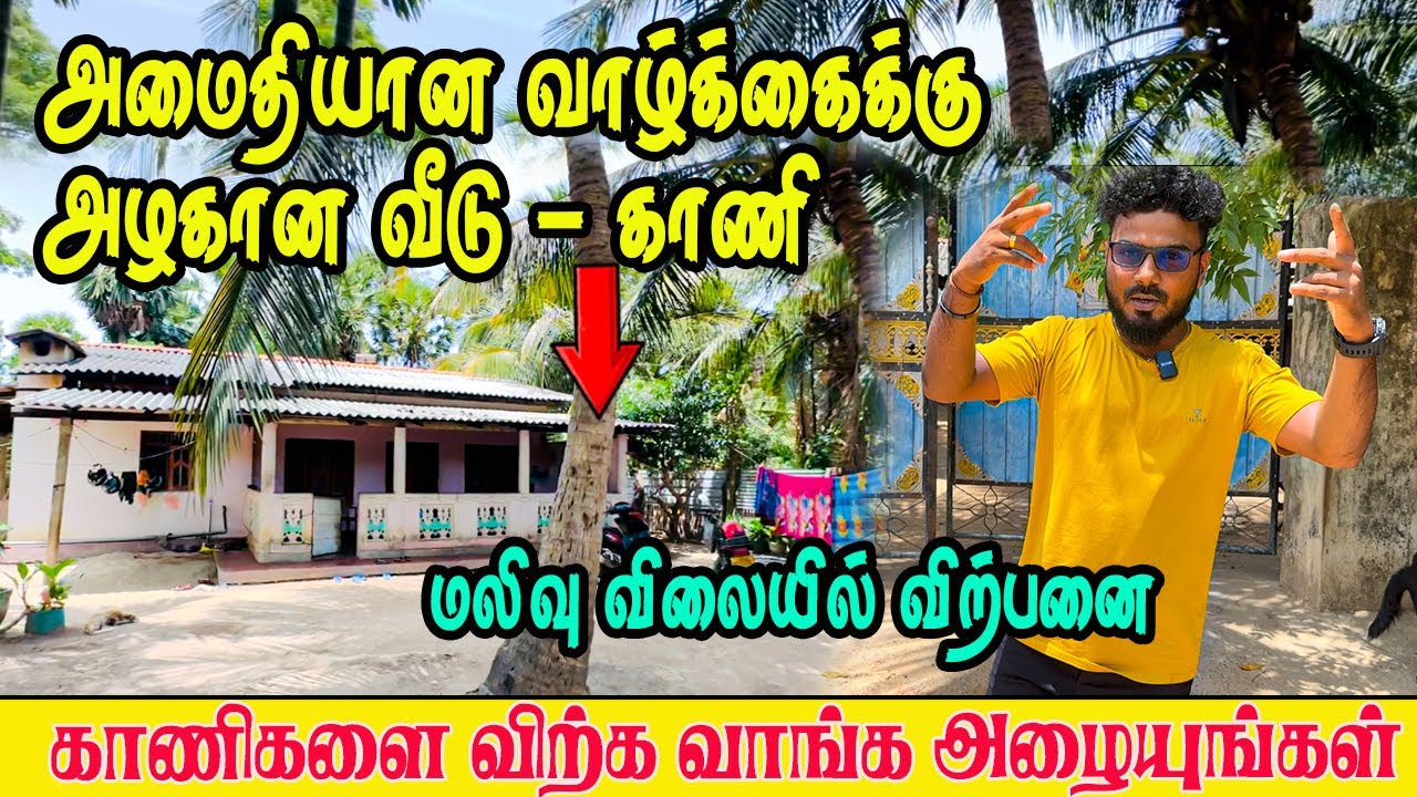 06 பரப்பில் அழகிய காணி விற்பனைக்கு💚 -மலிவு விலையில் #jaffnaland #landsale #landbuy #realestate