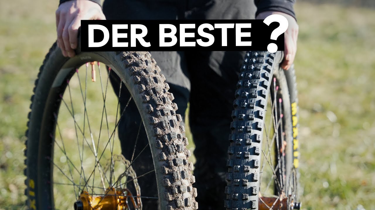 Welcher ist wirklich DER BESTE 