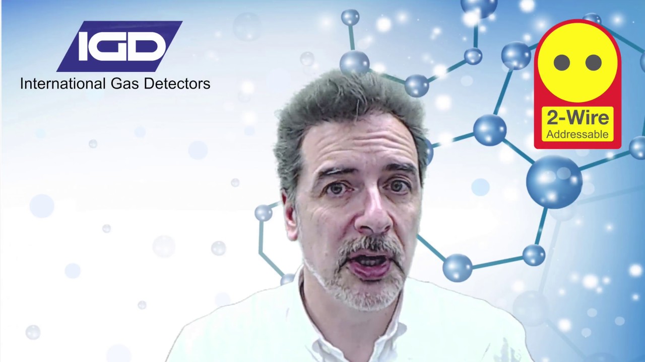 2 wire gas detection systems from IGD