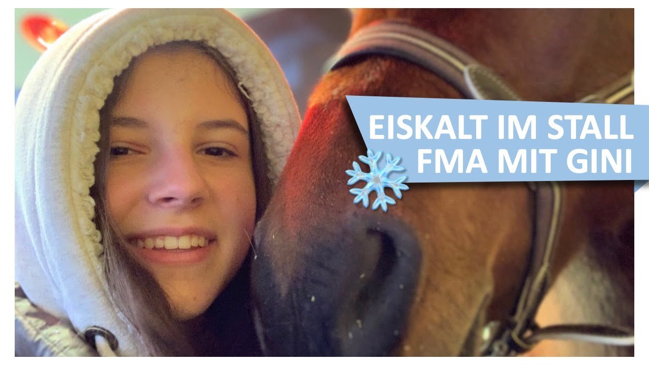 Eiskalt im Stall ❄️ FMA mit Gini