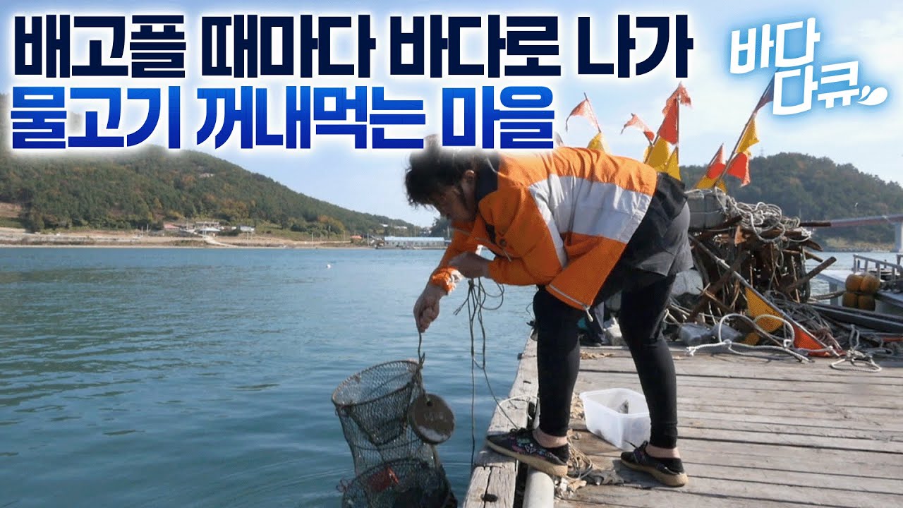 여긴 몸만 부지런히 움직이면 배 굶을일 없어/ 마트 슈퍼 전부 없어도 굶을 일 없는 이유/#바다다큐