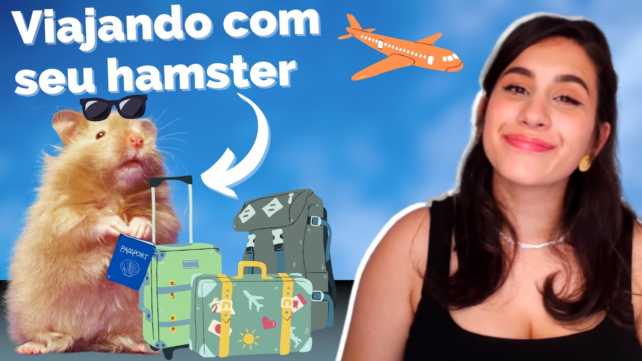 COMO VIAJAR COM SEU HAMSTER? É melhor levar o hamster ou deixar ele em casa? 🐹🚗
