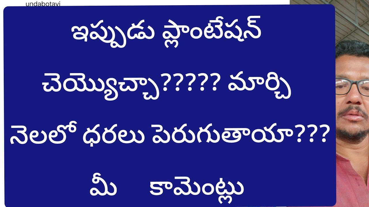 February 14, 2026!!మీ కామెంట్లు నా సమాధానం #Madanapalli tamoto market @sayyadshahataj2000