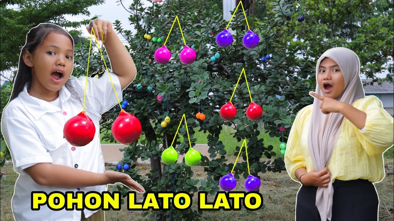 POHON LATTO LATTO AJAIB | POHON BUAH LATO LATO | CHIKAKU CHANNEL