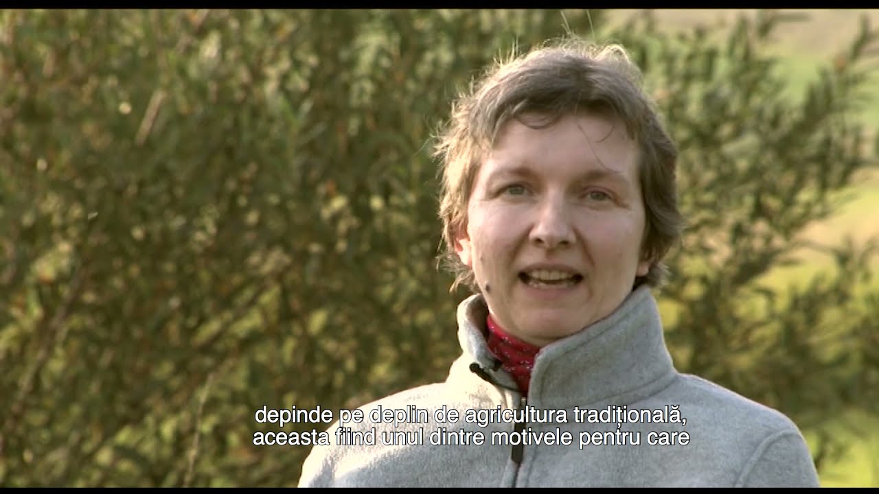 MOUNTAIN HAY MEADOWS - HOTSPOTS OF BIODIVERSITY AND TRADITIONAL CULTURE (ENG, ROMANIAN SUBTITLED)